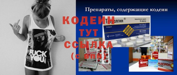 ECSTASY Ладушкин