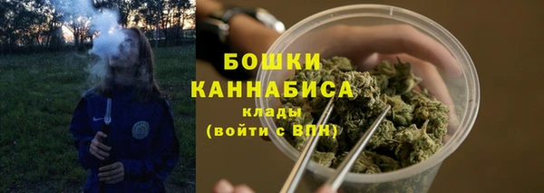 ECSTASY Ладушкин