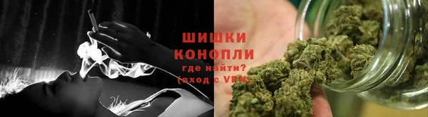 ECSTASY Ладушкин