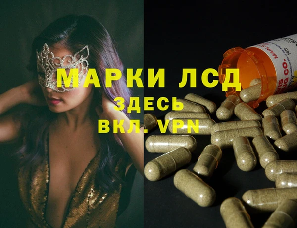 ECSTASY Ладушкин