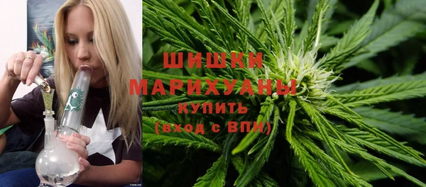 ECSTASY Ладушкин