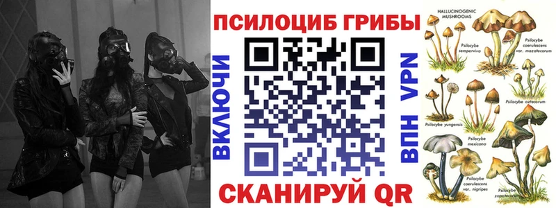 Псилоцибиновые грибы Psilocybine cubensis  Купить где  Лосино-Петровский 